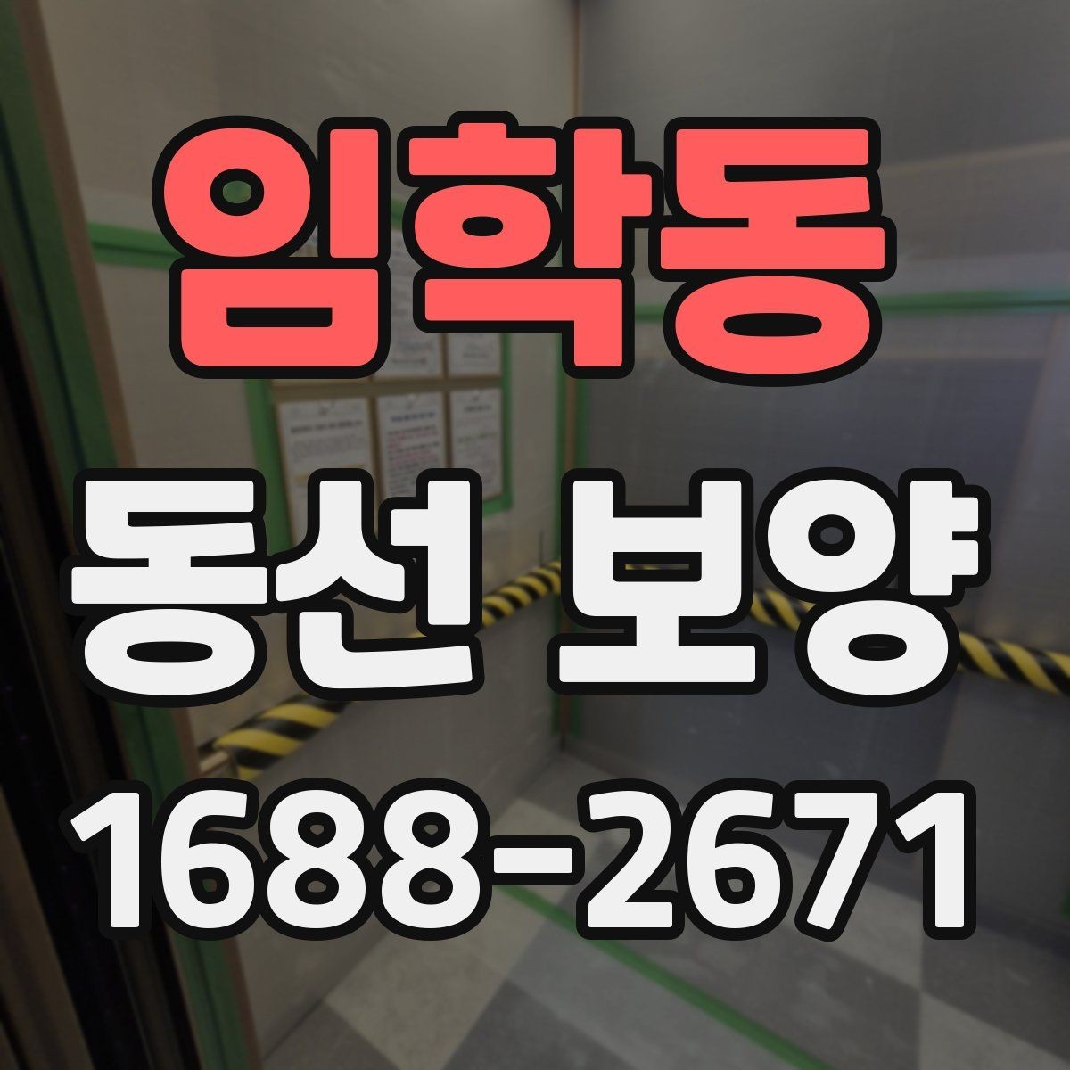 임학동 동선 보양 현장 사진으로 보는 작업 진행 순서