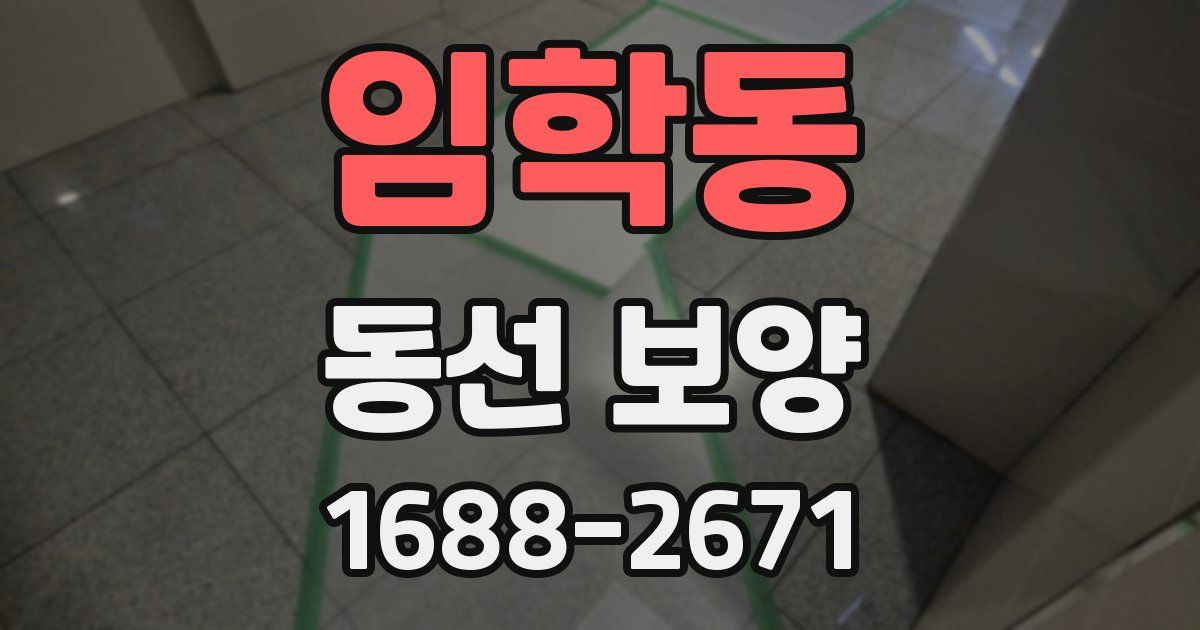 임학동 동선 보양