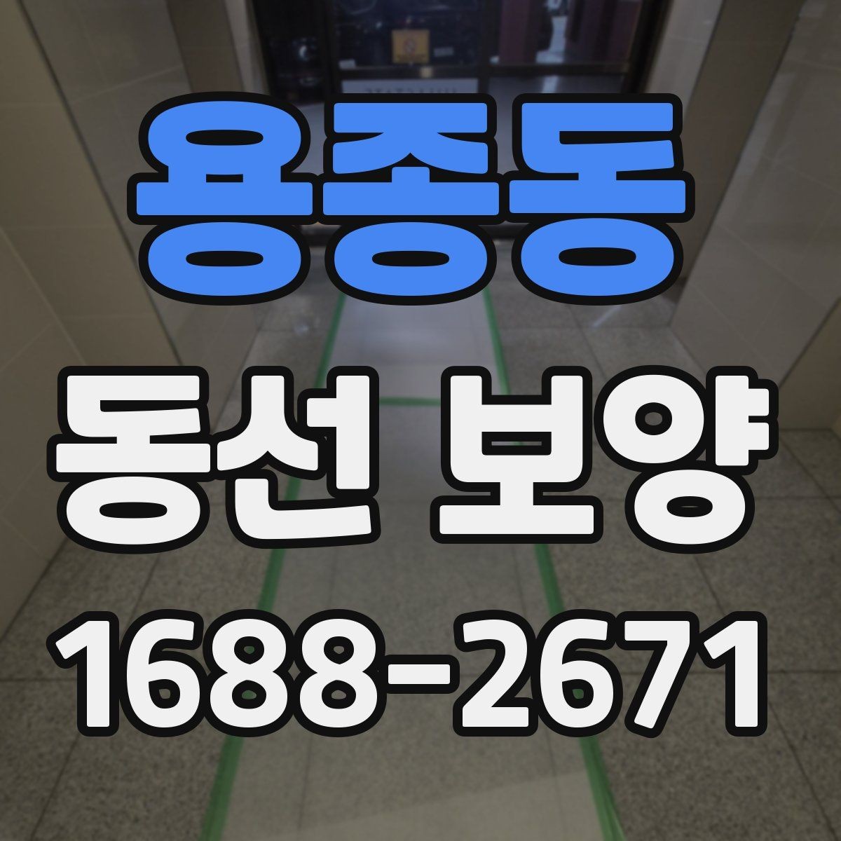 용종동 동선 보양 작업 범위와 현장 조건을 함께 보는 이유