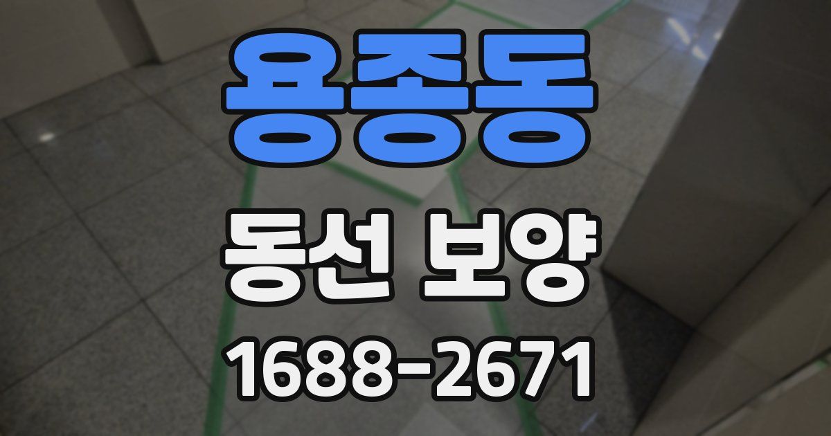 용종동 동선 보양