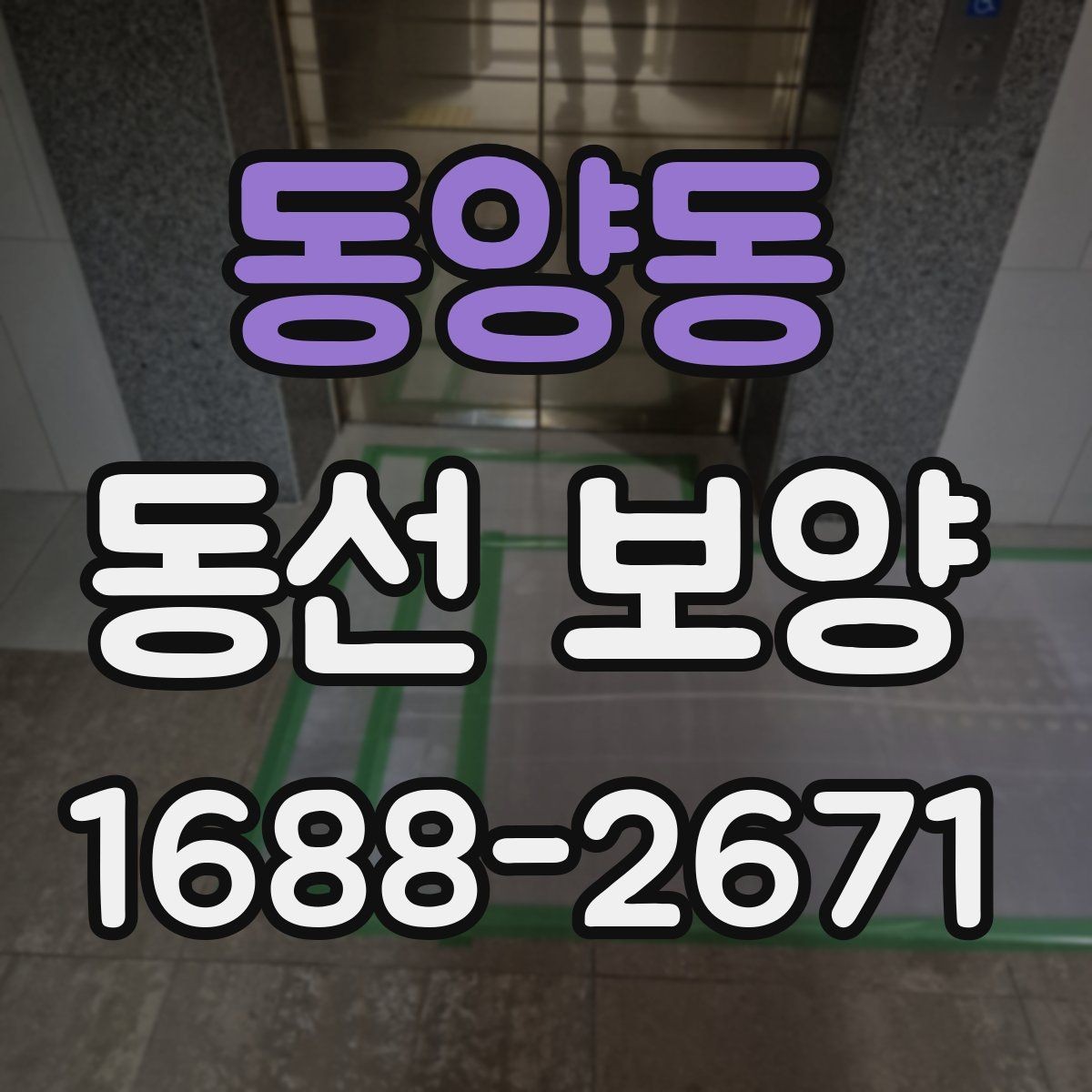 동양동 동선 보양 작업을 효율적으로 끝내는 체크포인트