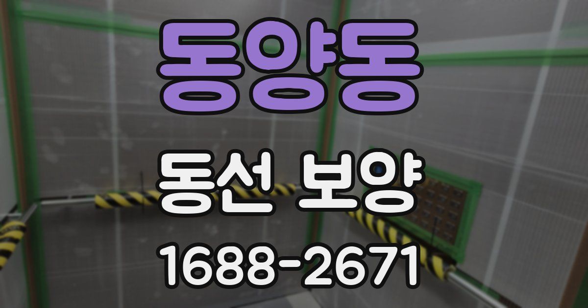 동양동 동선 보양