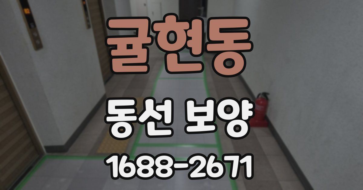 귤현동 동선 보양