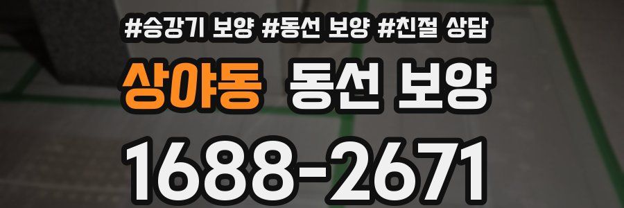 상야동 동선 보양