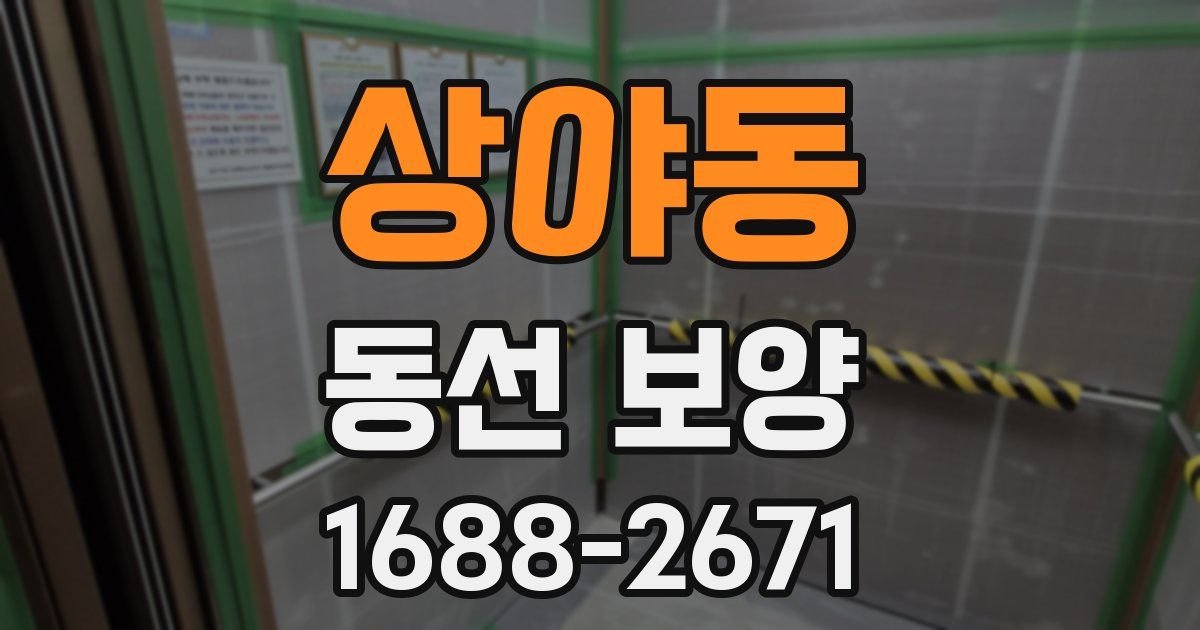 상야동 동선 보양
