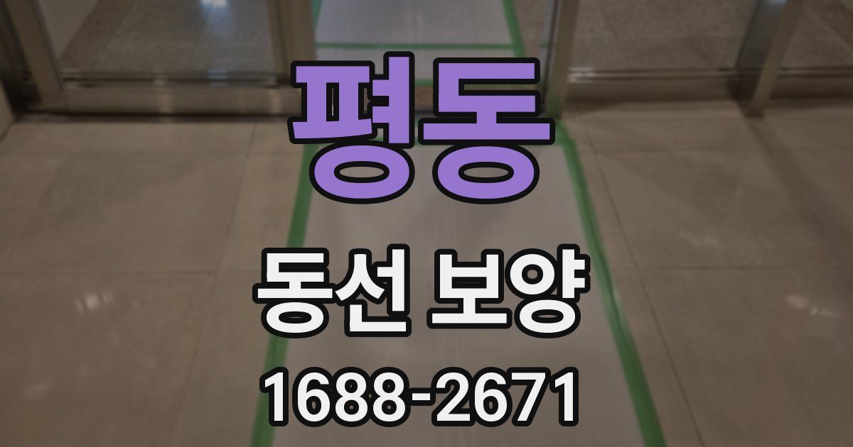 평동 동선 보양