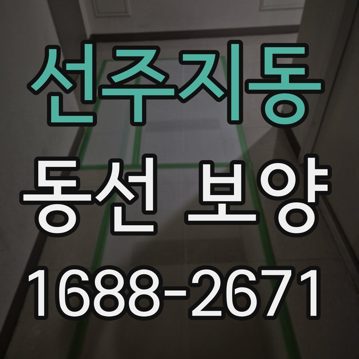 선주지동 동선 보양 자재를 선택할 때 비교할 기준