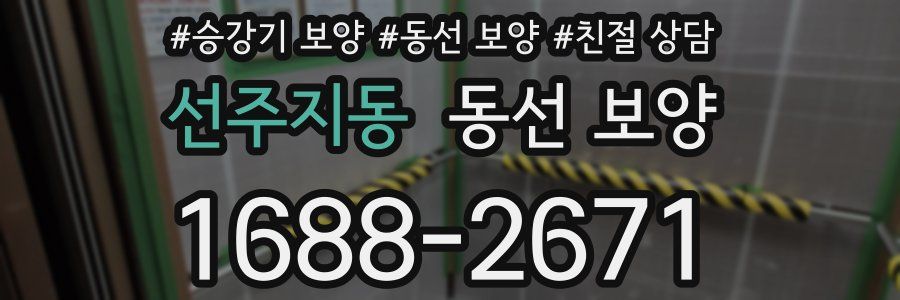 선주지동 동선 보양
