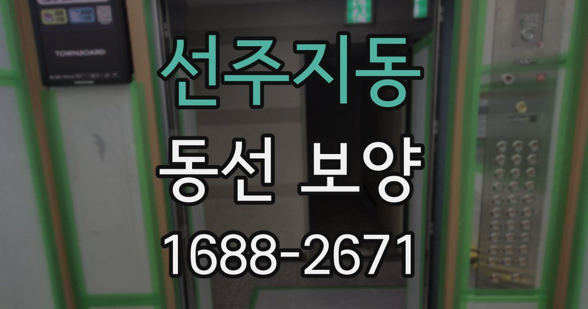 선주지동 동선 보양