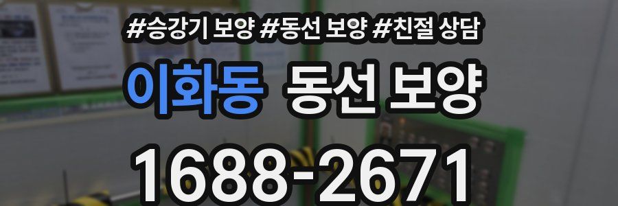 이화동 동선 보양