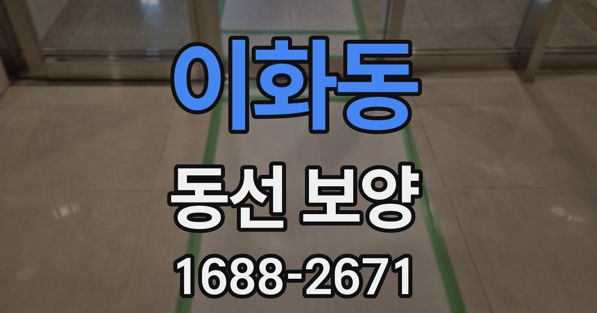 이화동 동선 보양