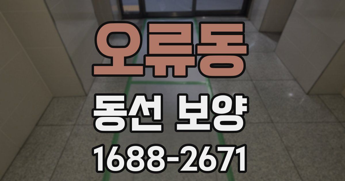 오류동 동선 보양