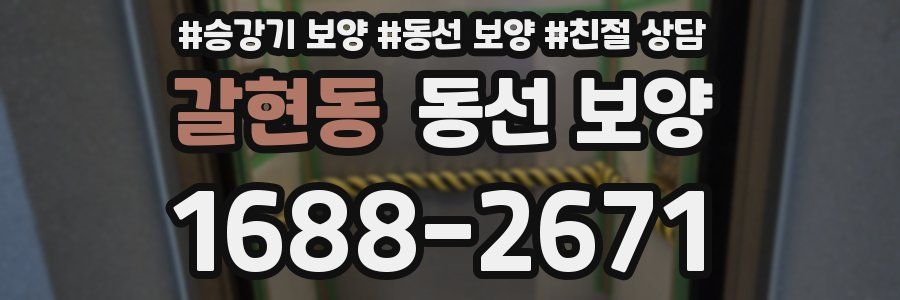 갈현동 동선 보양