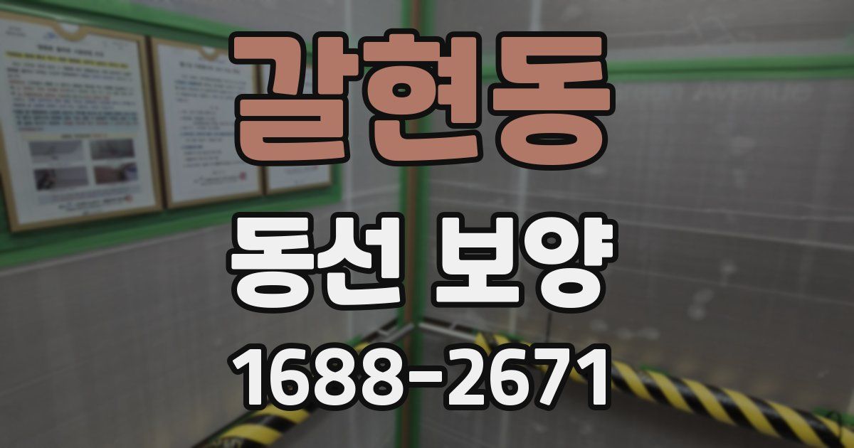 갈현동 동선 보양