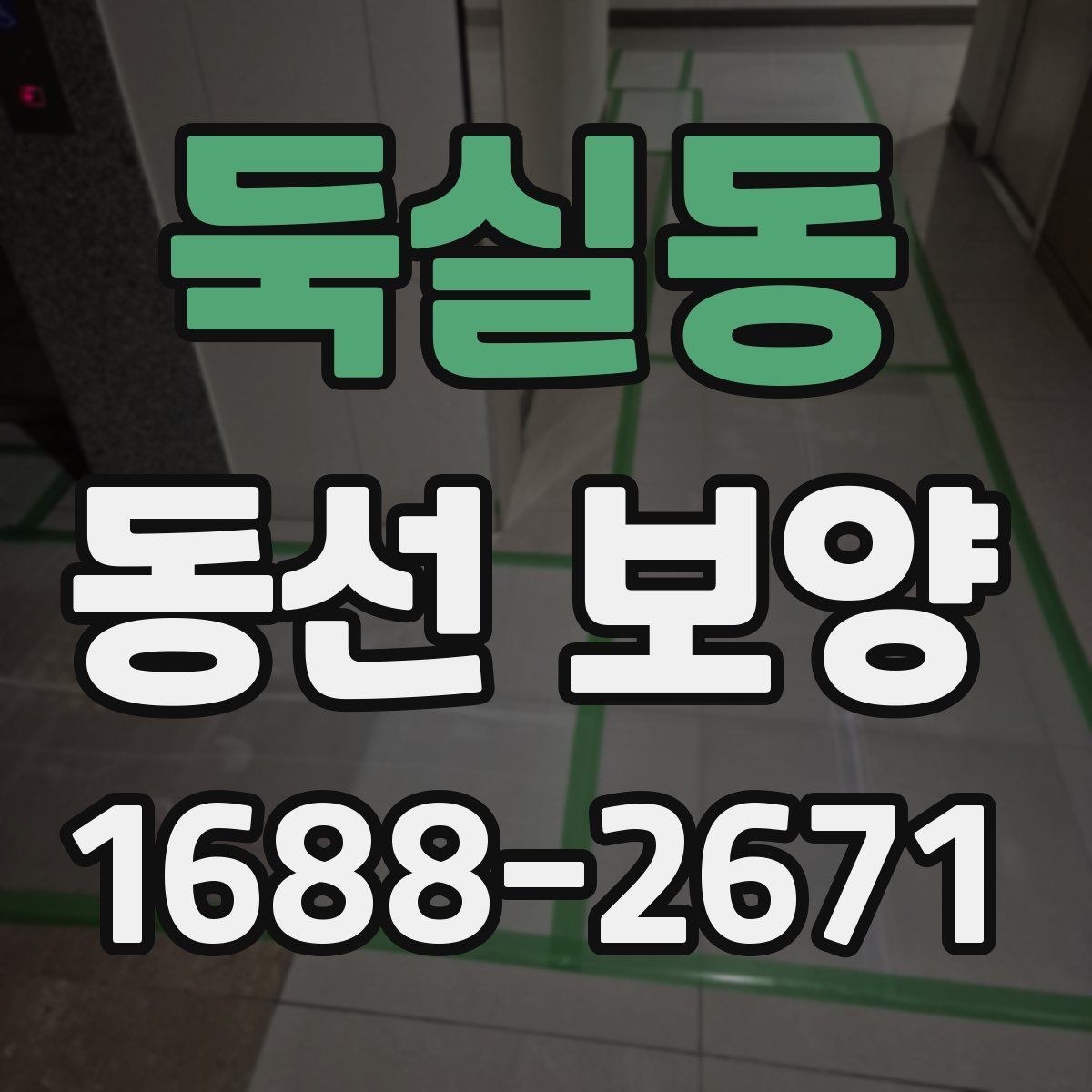 둑실동 동선 보양 작업 전 환경 정리와 준비 요령