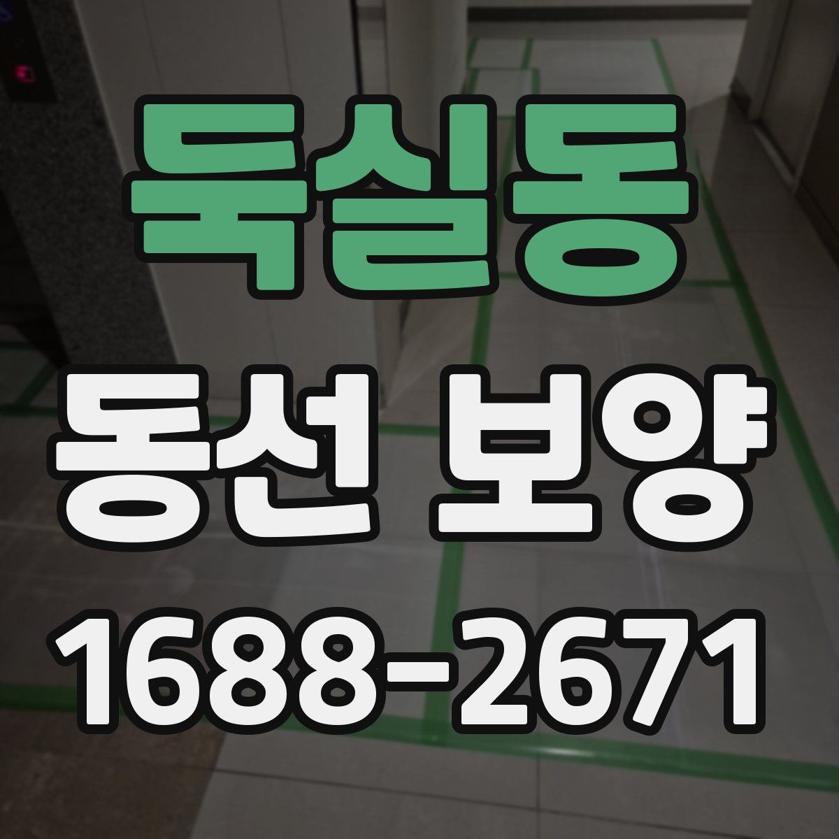 둑실동 동선 보양