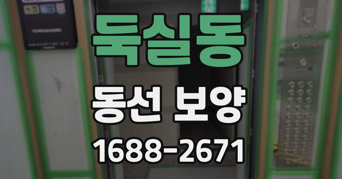 둑실동 동선 보양