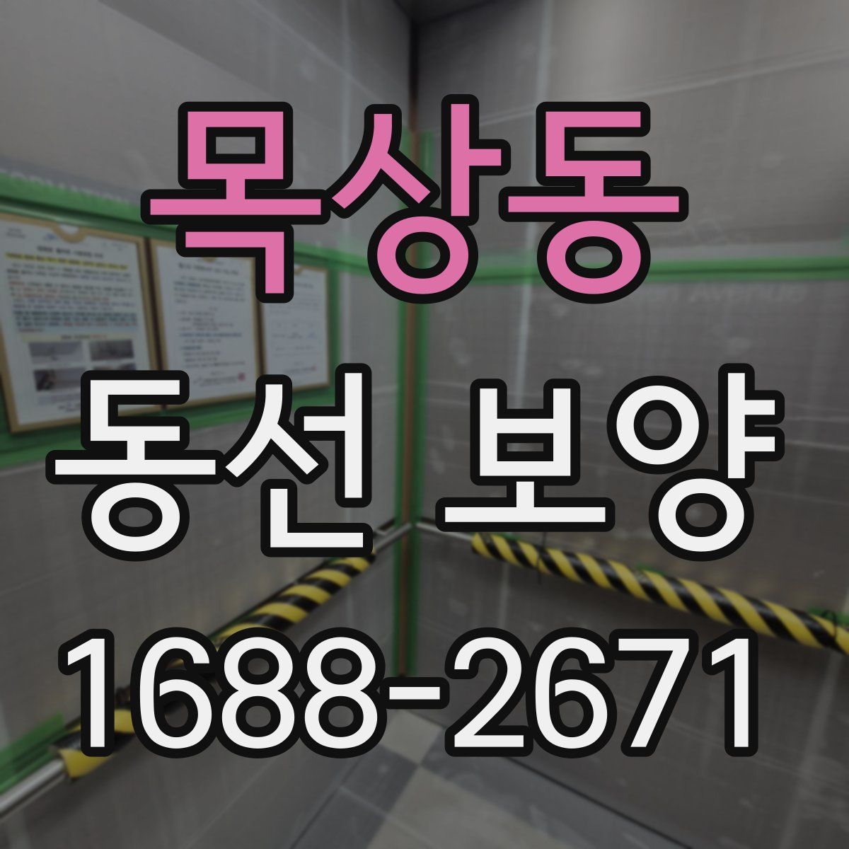 목상동 동선 보양