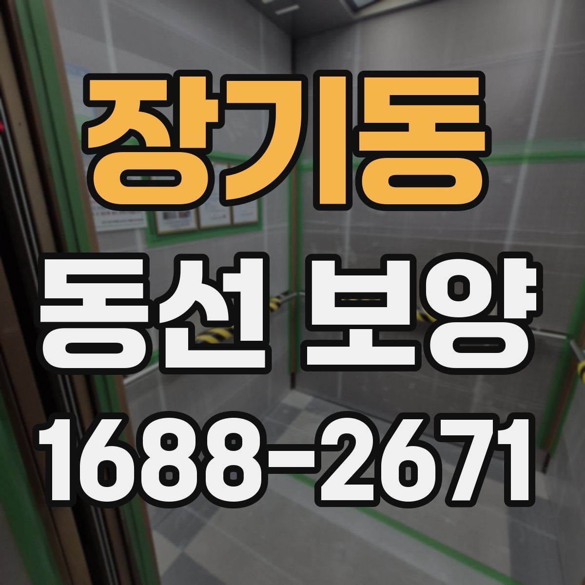장기동 동선 보양 품질을 높이는 현장 준비