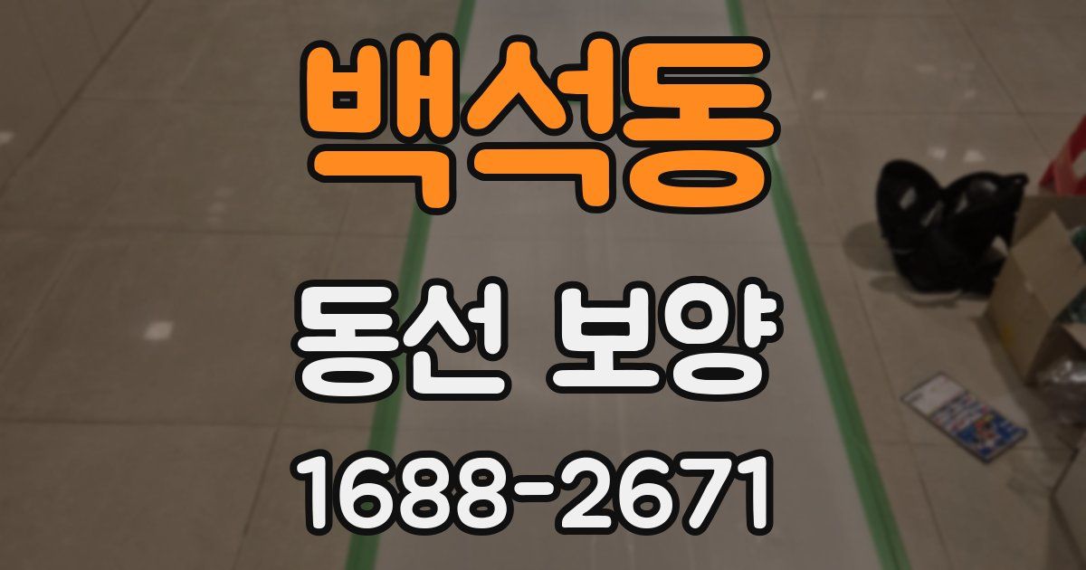 백석동 동선 보양