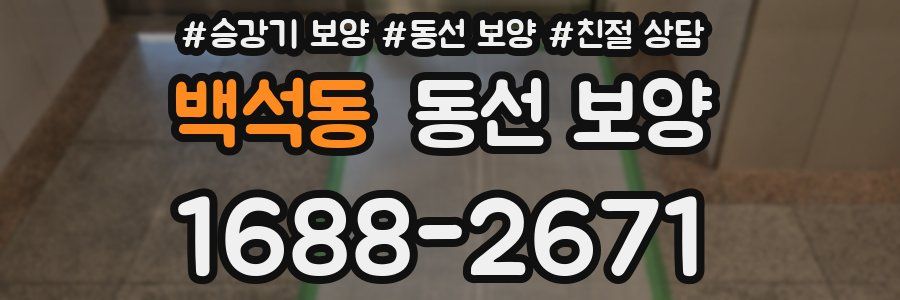 백석동 동선 보양
