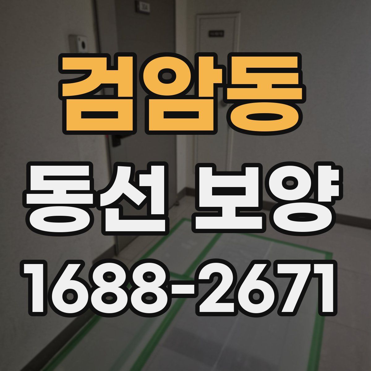 검암동 동선 보양