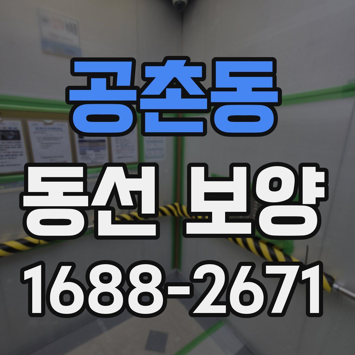 공촌동 동선 보양