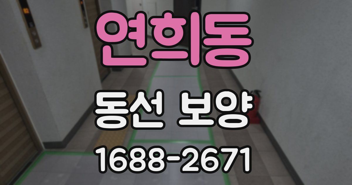 연희동 동선 보양