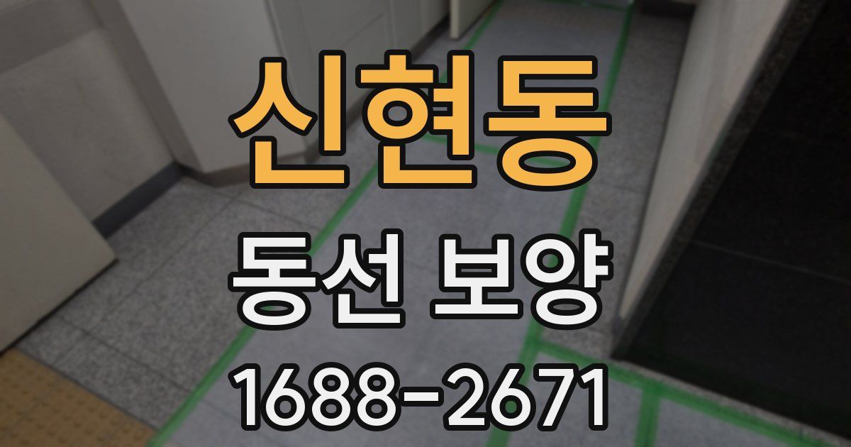 신현동 동선 보양
