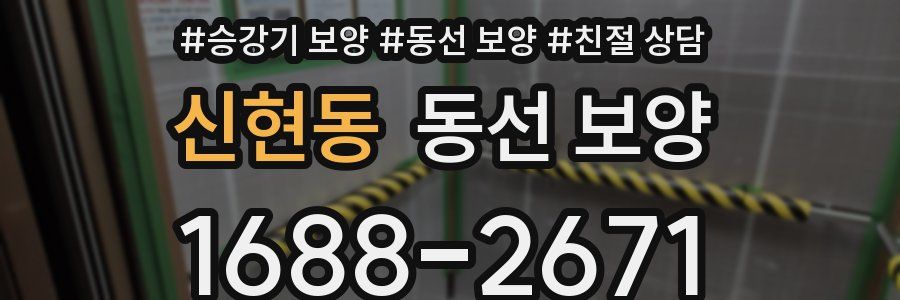 신현동 동선 보양