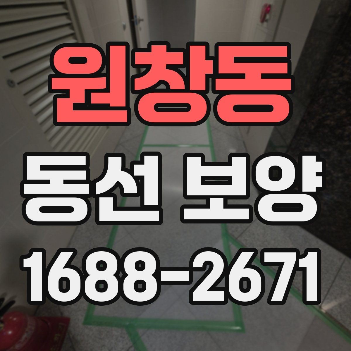 원창동 동선 보양 공사 전후 주의사항 한눈에 보기