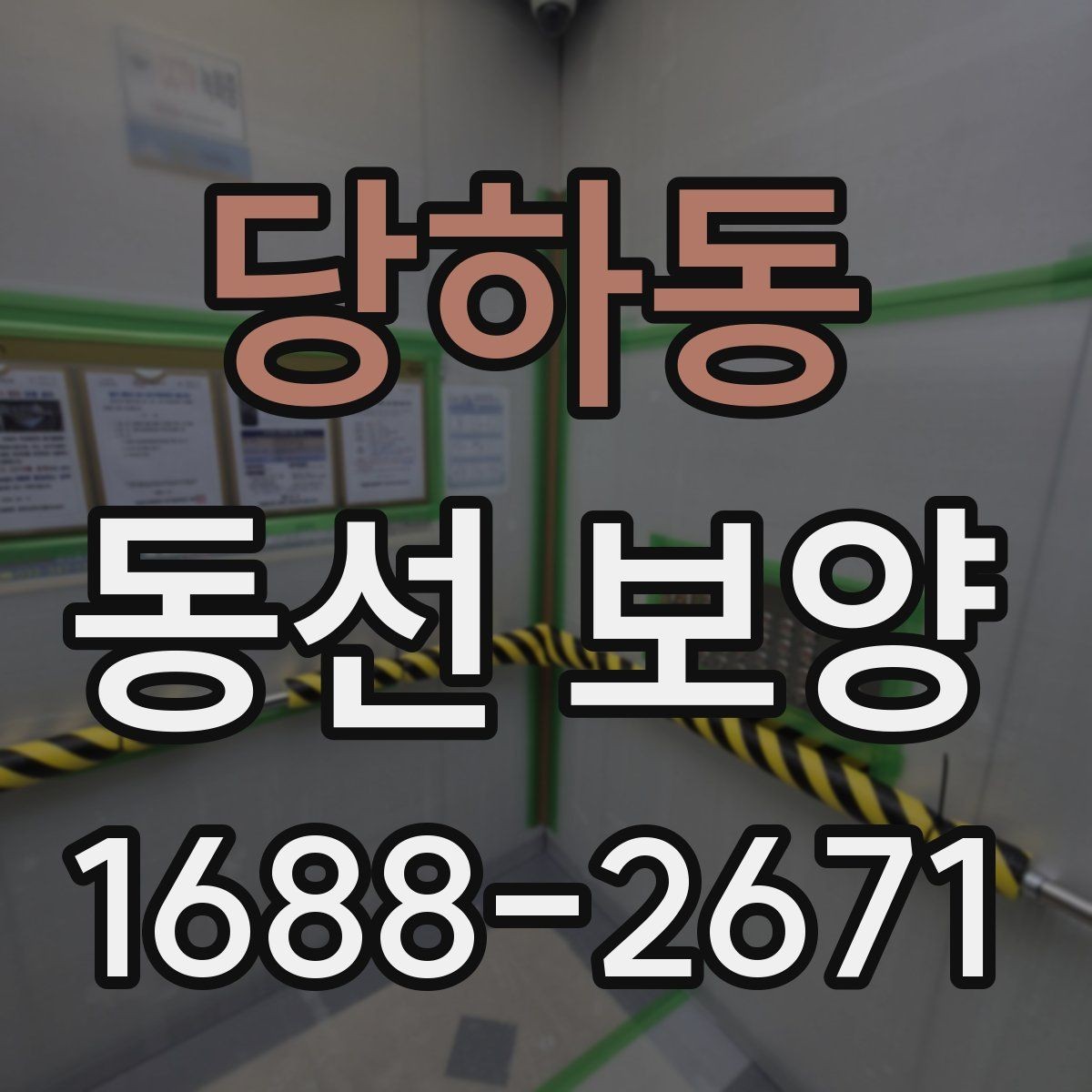 당하동 동선 보양 후 유지 관리를 고려한 선택