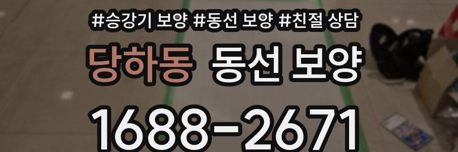 당하동 동선 보양
