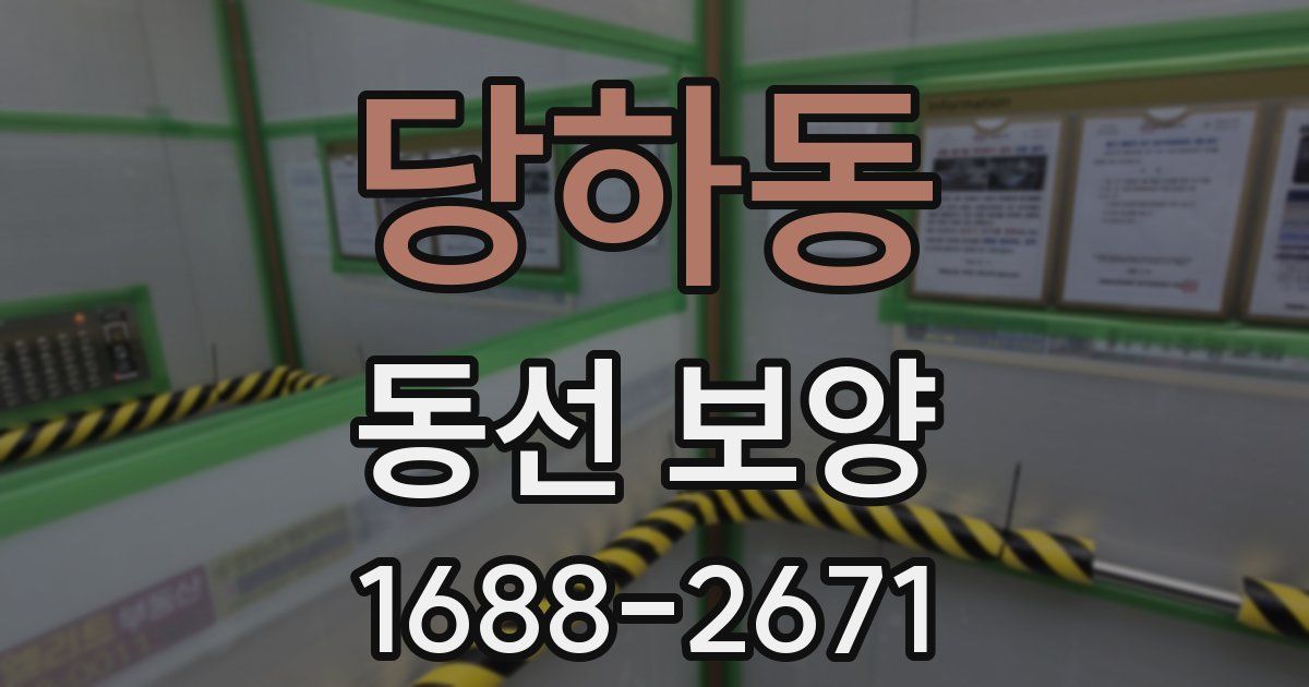 당하동 동선 보양
