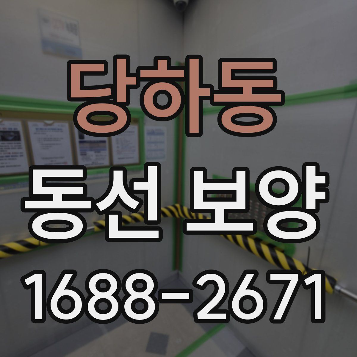 당하동 동선 보양
