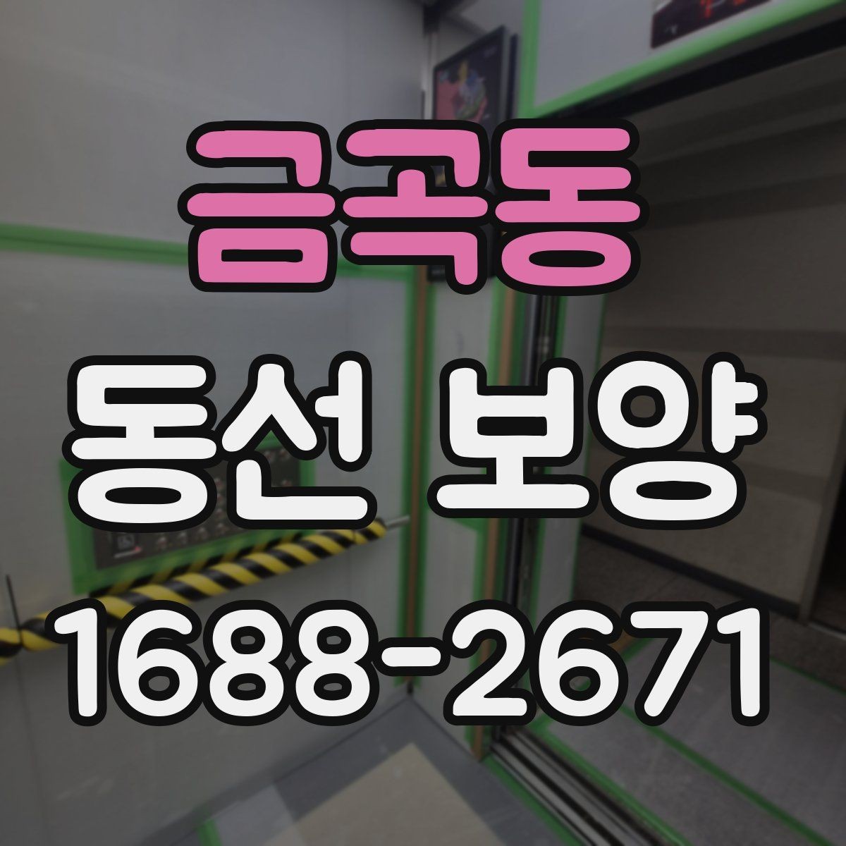 금곡동 동선 보양 시공 전 꼭 확인할 점