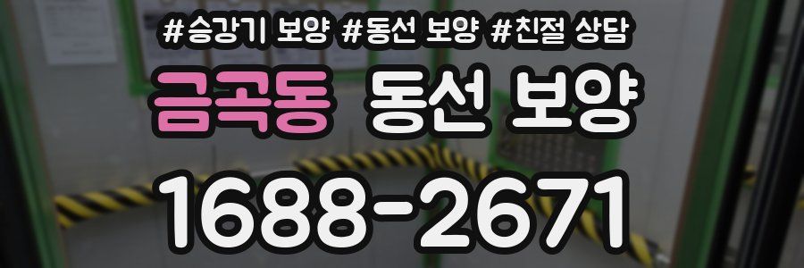 금곡동 동선 보양