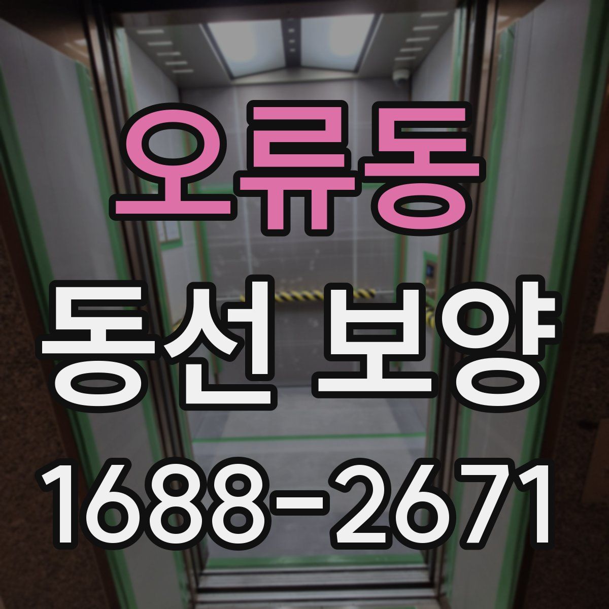 오류동 동선 보양