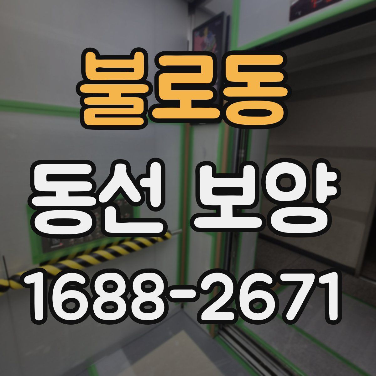 불로동 동선 보양