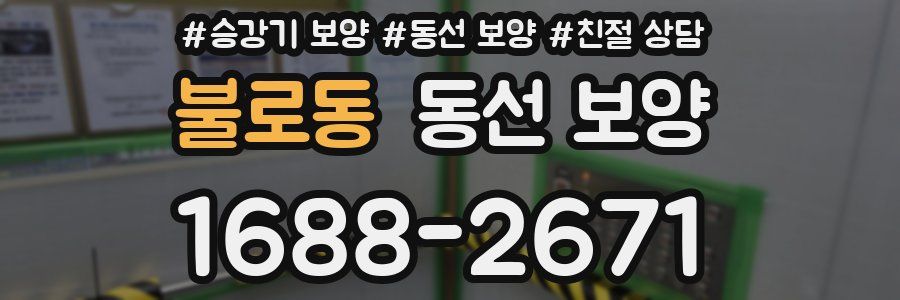 불로동 동선 보양