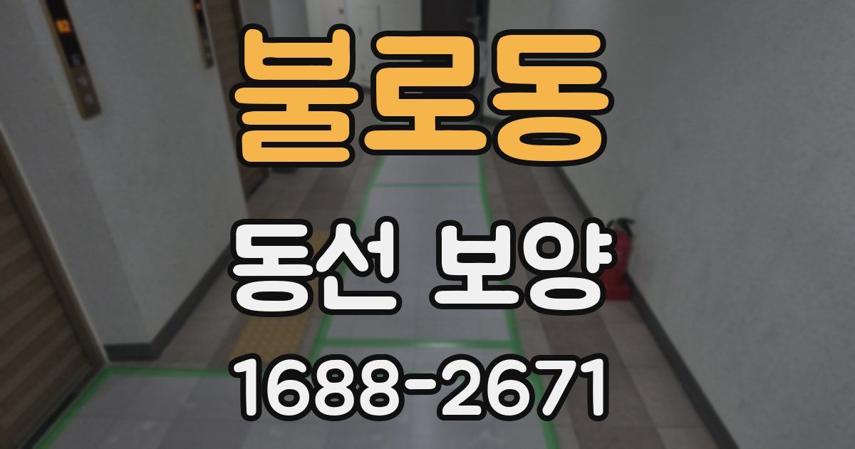 불로동 동선 보양