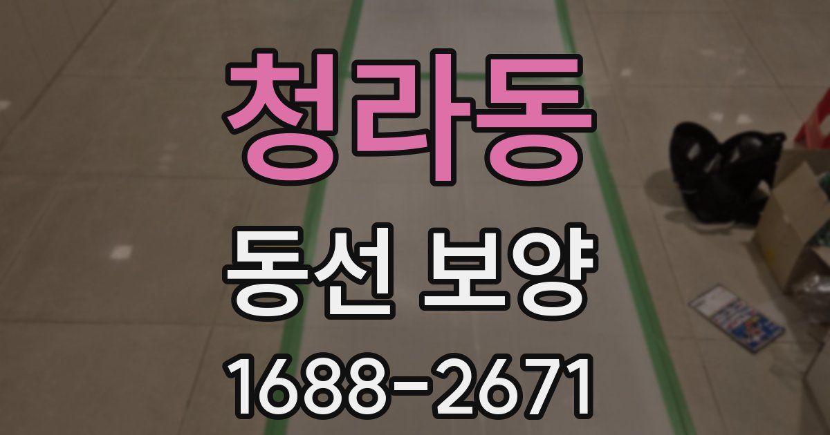 청라동 동선 보양