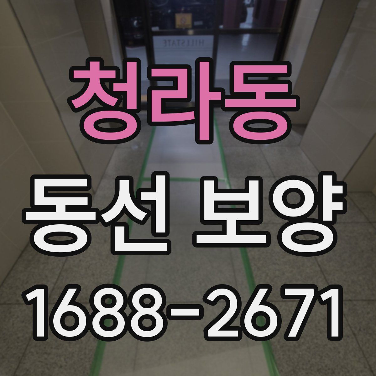 청라동 동선 보양