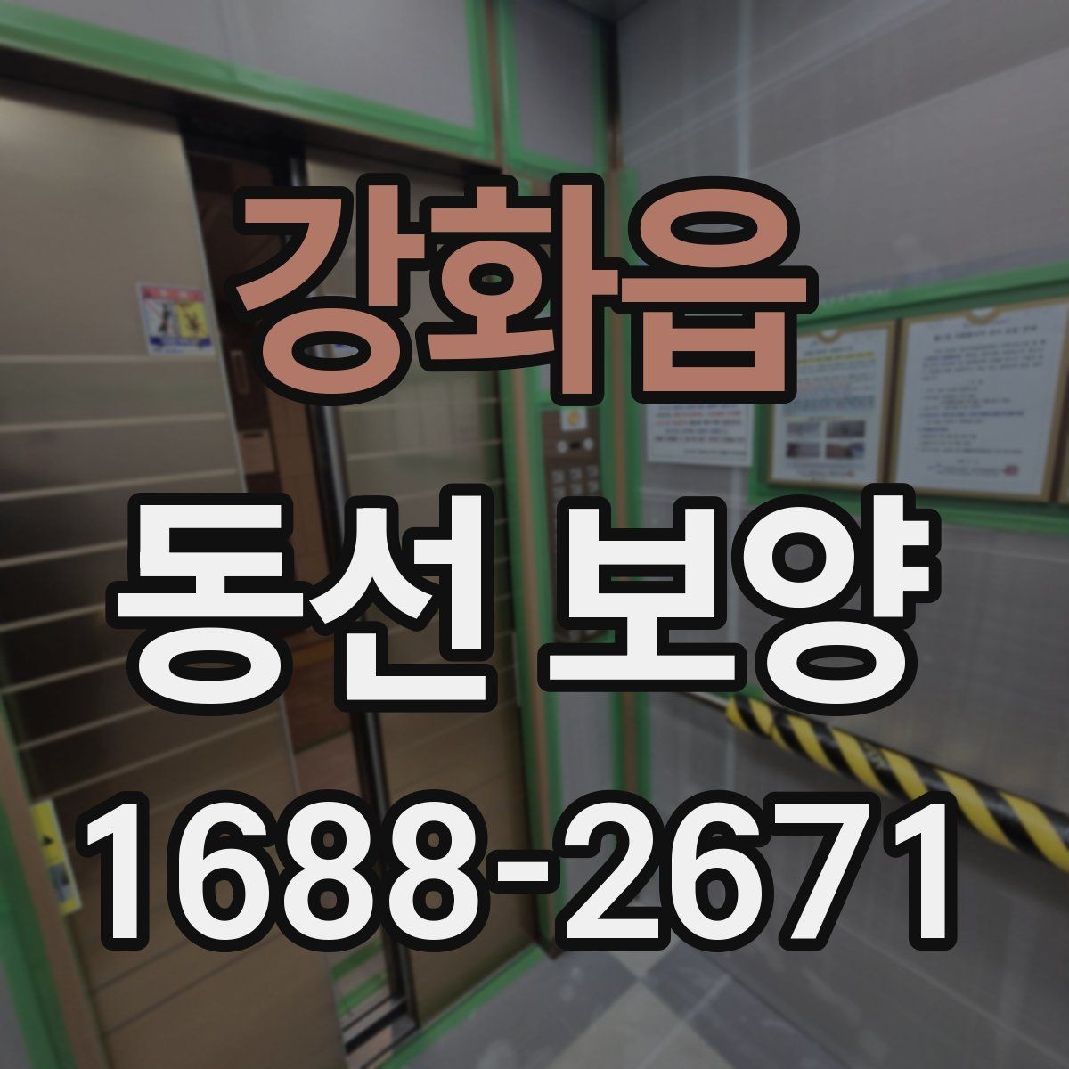 강화읍 동선 보양 현장에서 자주 사용하는 방법들