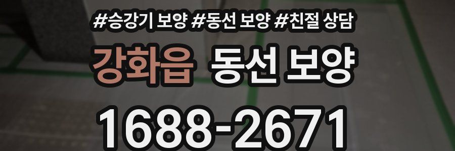 강화읍 동선 보양