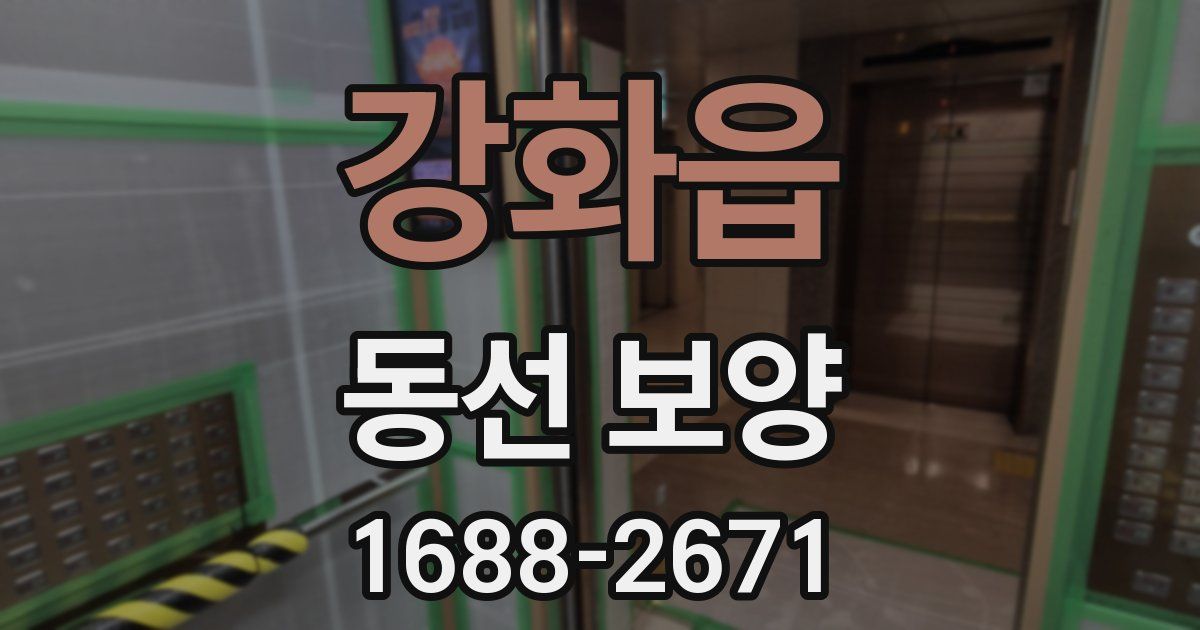 강화읍 동선 보양