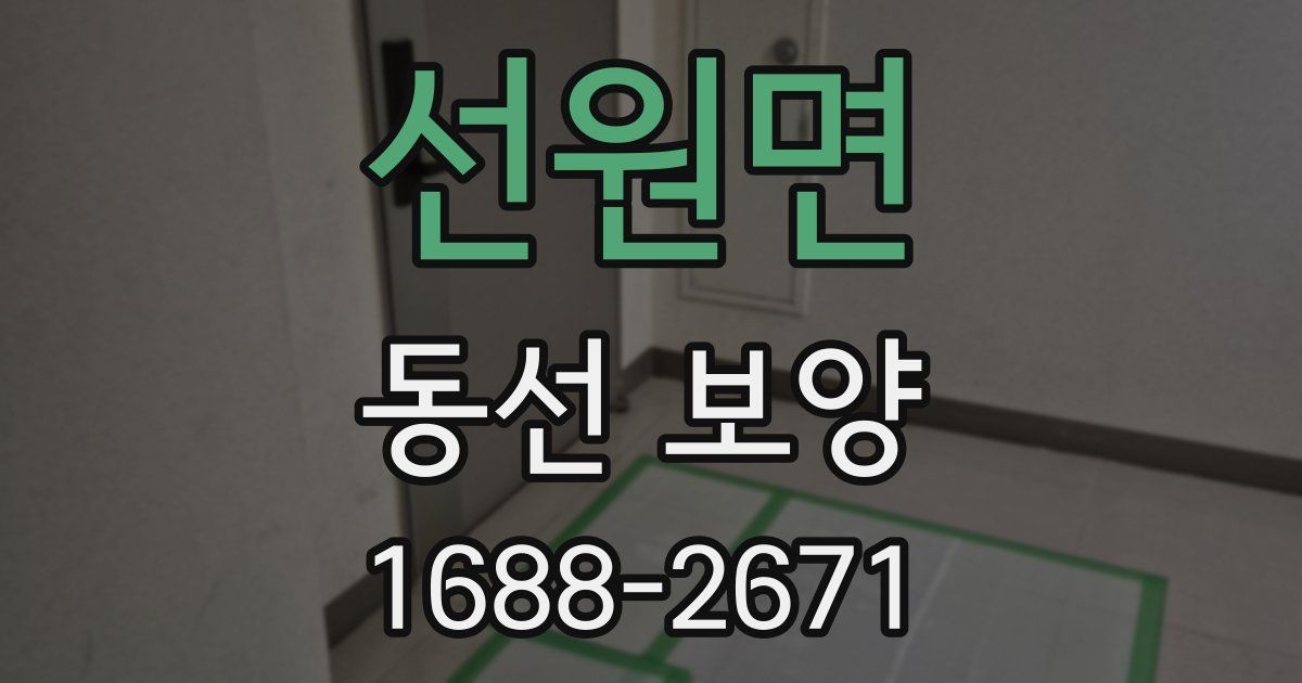 선원면 동선 보양