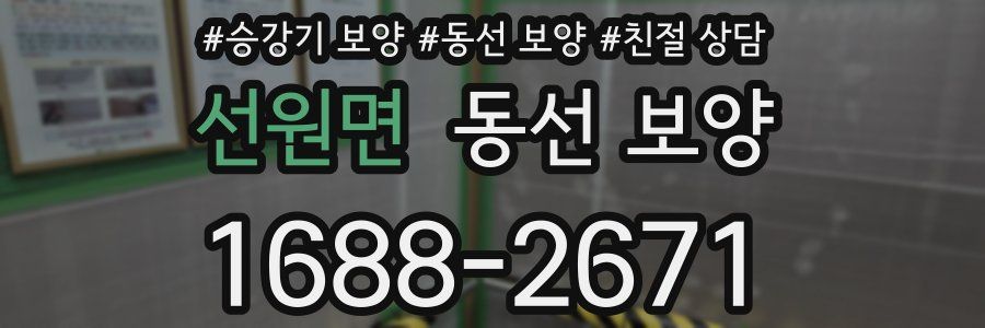 선원면 동선 보양