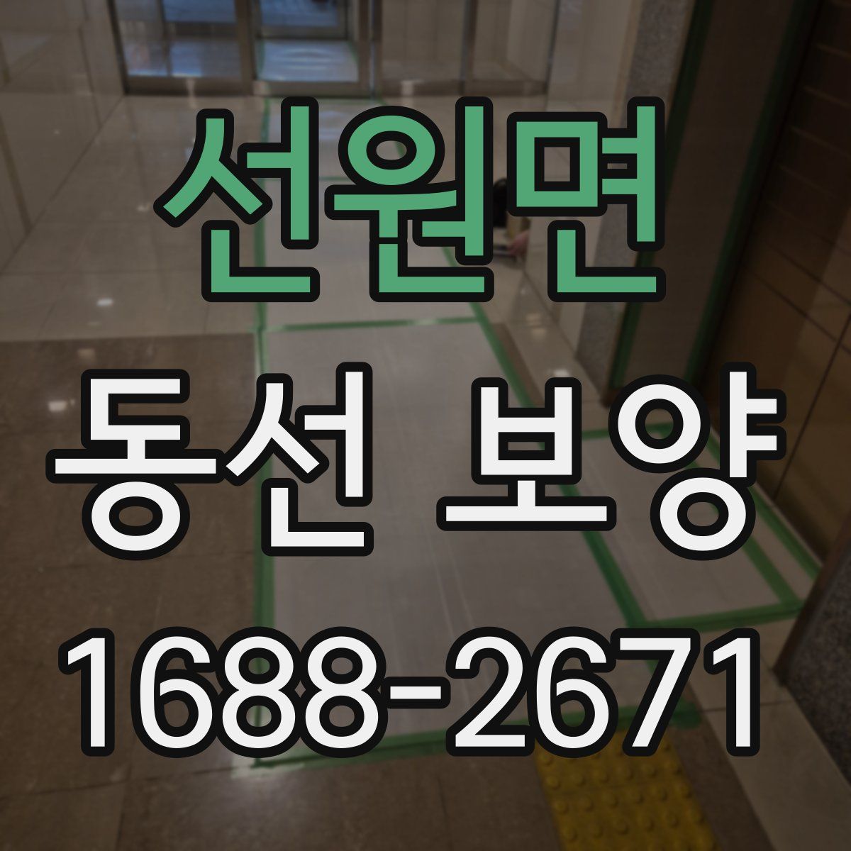 선원면 동선 보양