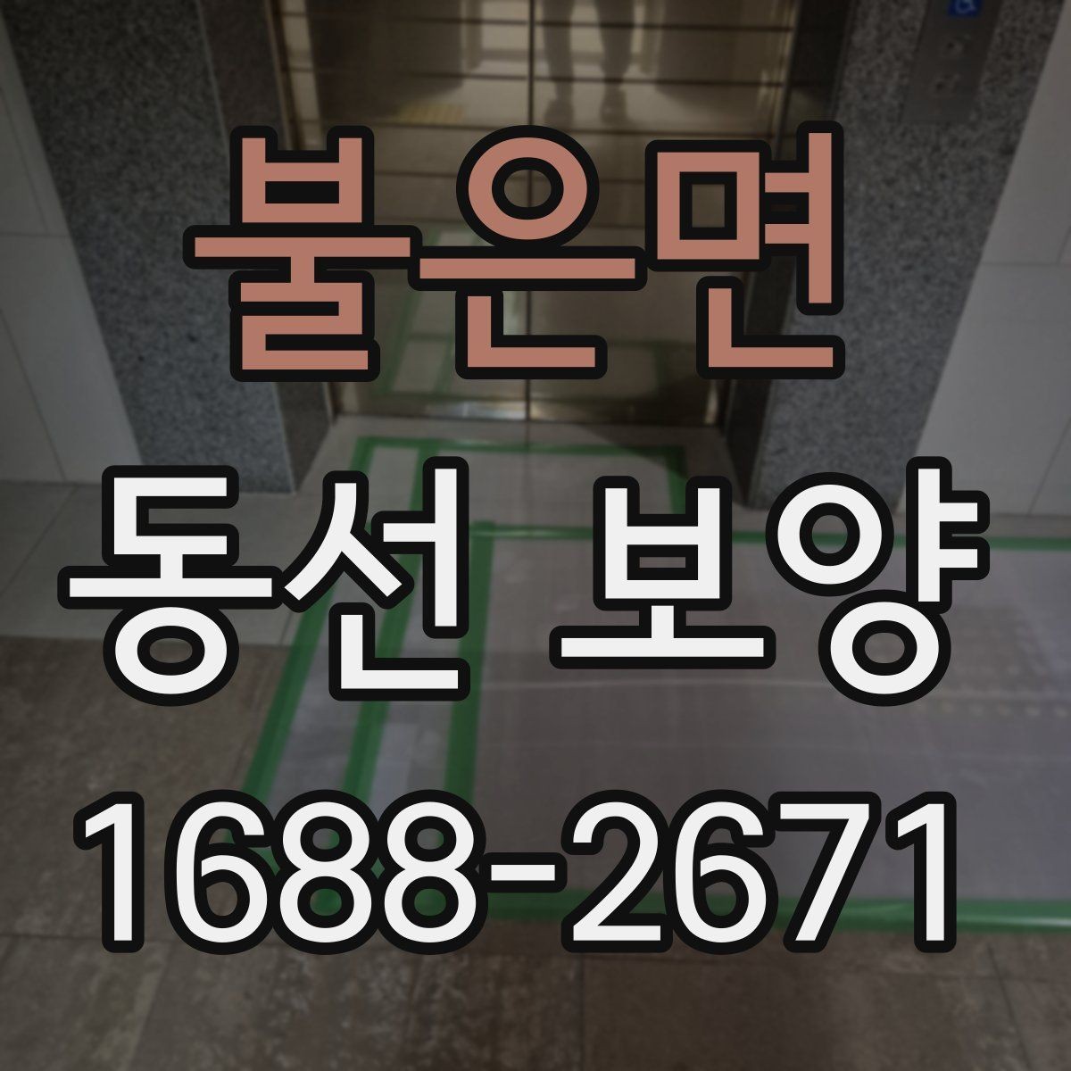불은면 동선 보양 업체를 볼 때 확인할 기준